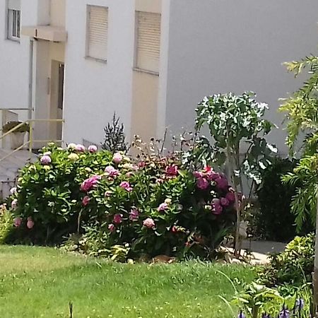 Tiagos Apartament Distrikt Distrikt Faro Exterior foto