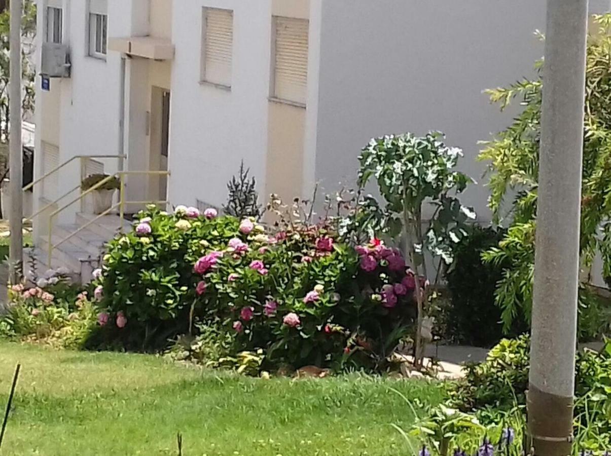 Tiagos Apartament Distrikt Distrikt Faro Exterior foto